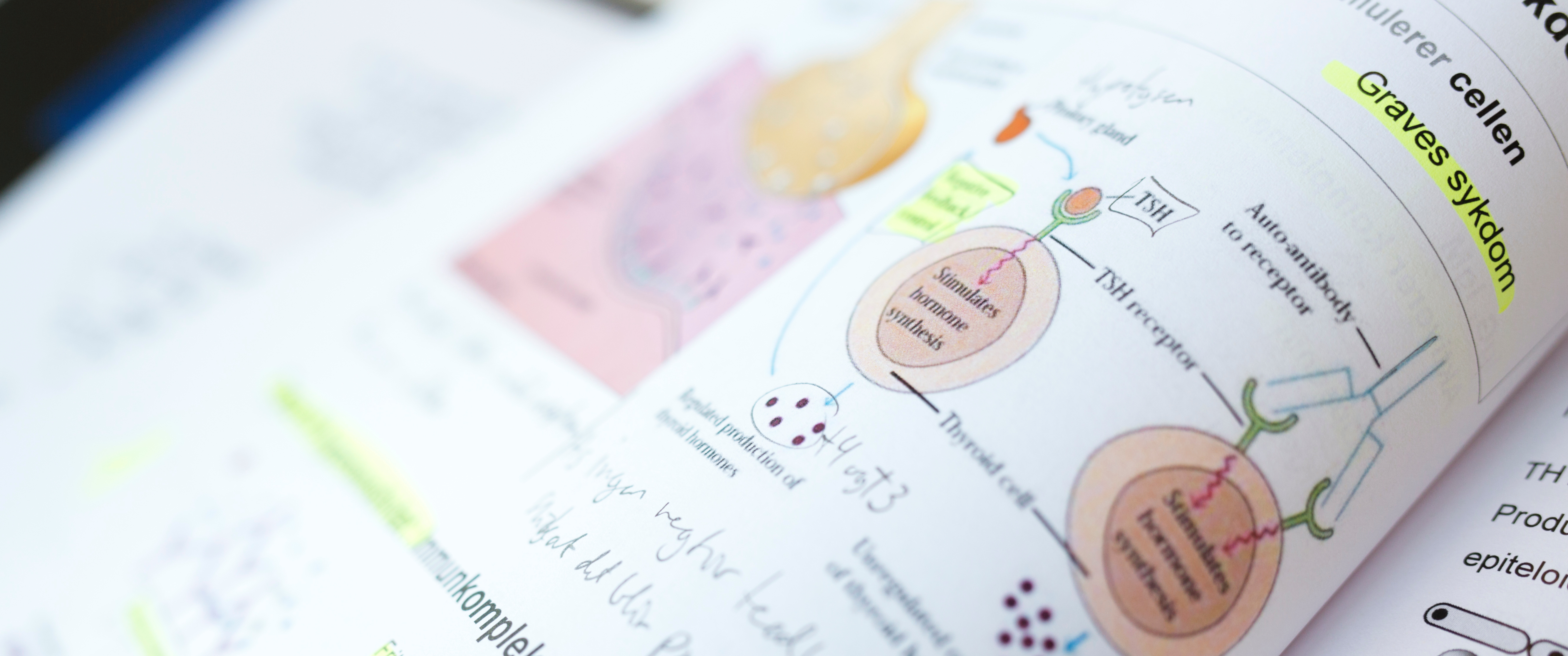 Close-up of a page of notes in a biomedical laboratory science textbook.