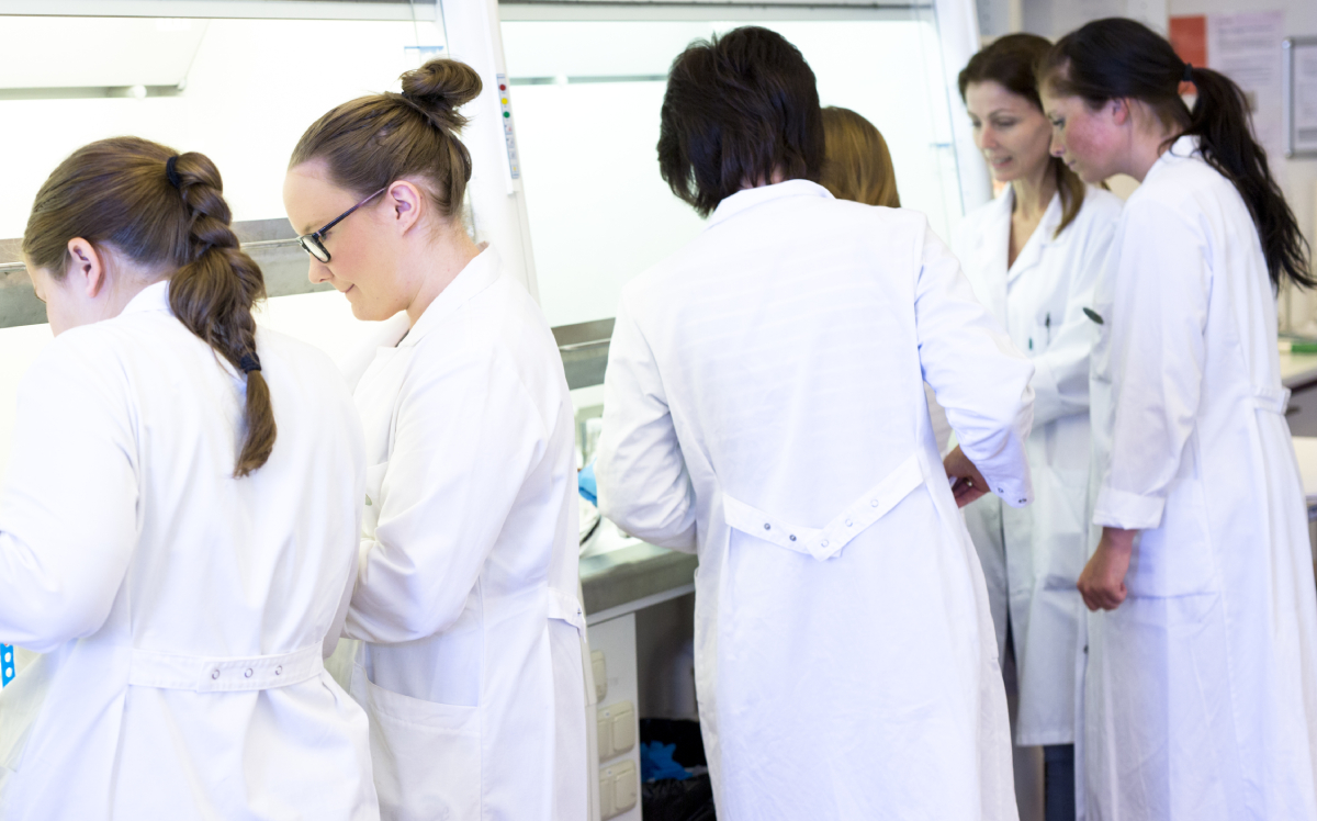 Several people in white lab coats work together at a work table in a bright laboratory.