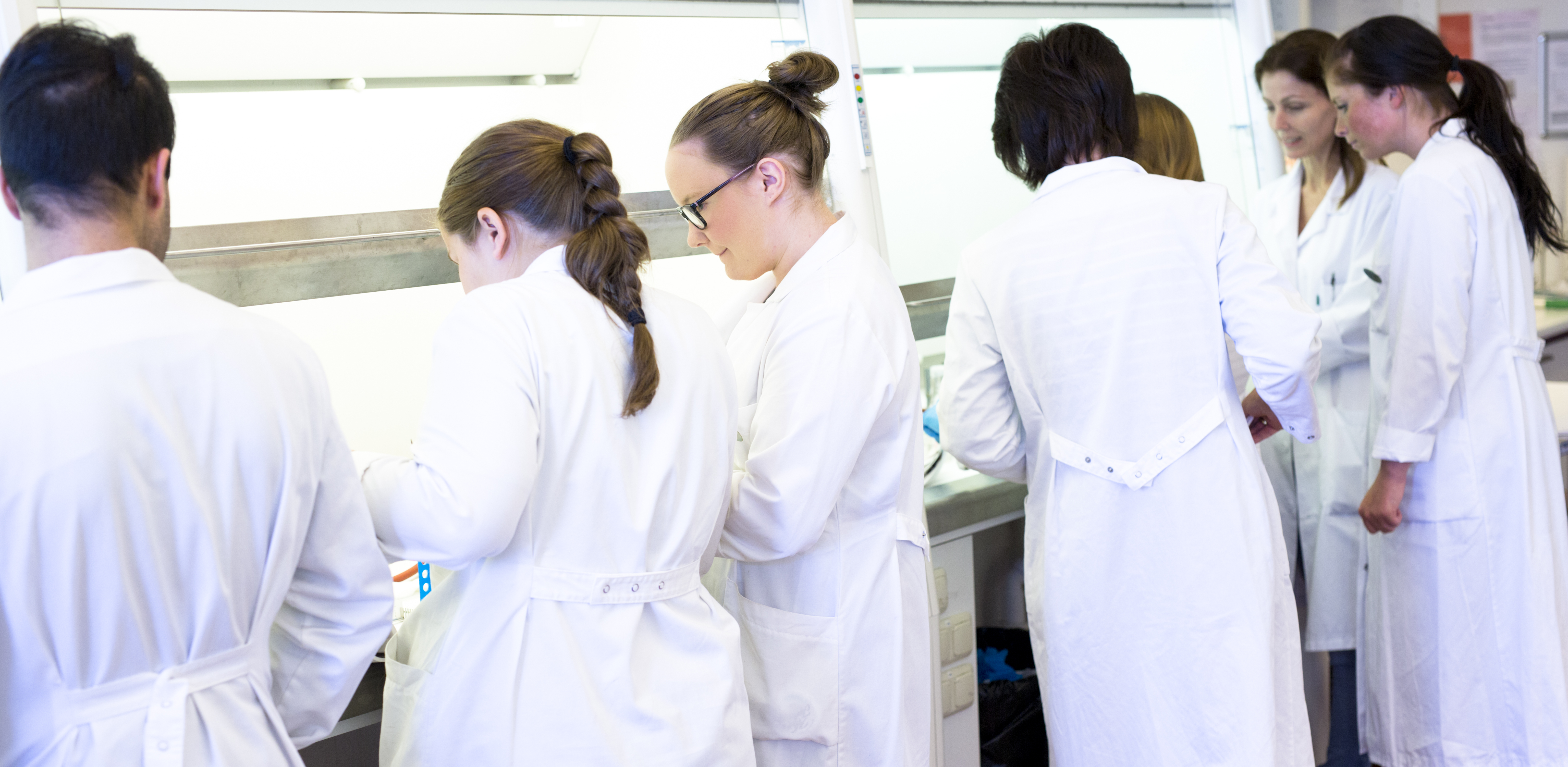 Several people in white lab coats work together at a work table in a bright laboratory.
