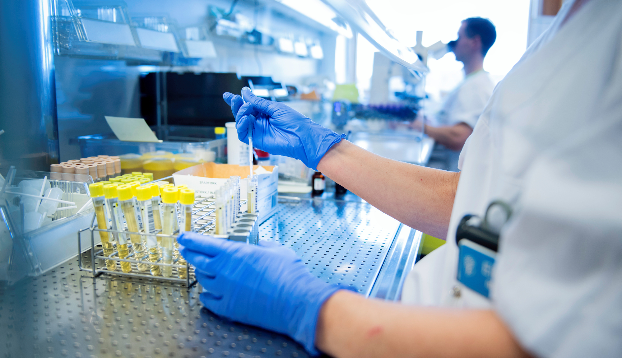 The picture shows biomedical laboratory technicians performing professional work in a hospital laboratory