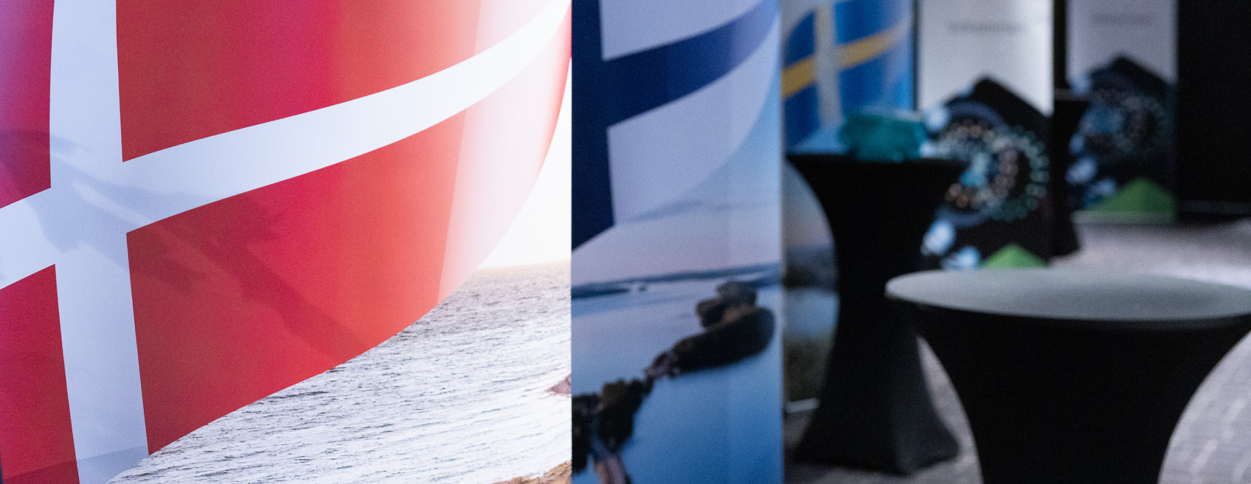 Standing banners with Nordic flags mark professional collaboration between biomedical laboratory technicians from different Nordic countries at a conference.