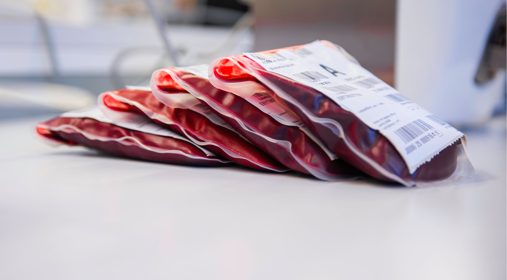 The picture shows four bags of drawn blood lying on a table.