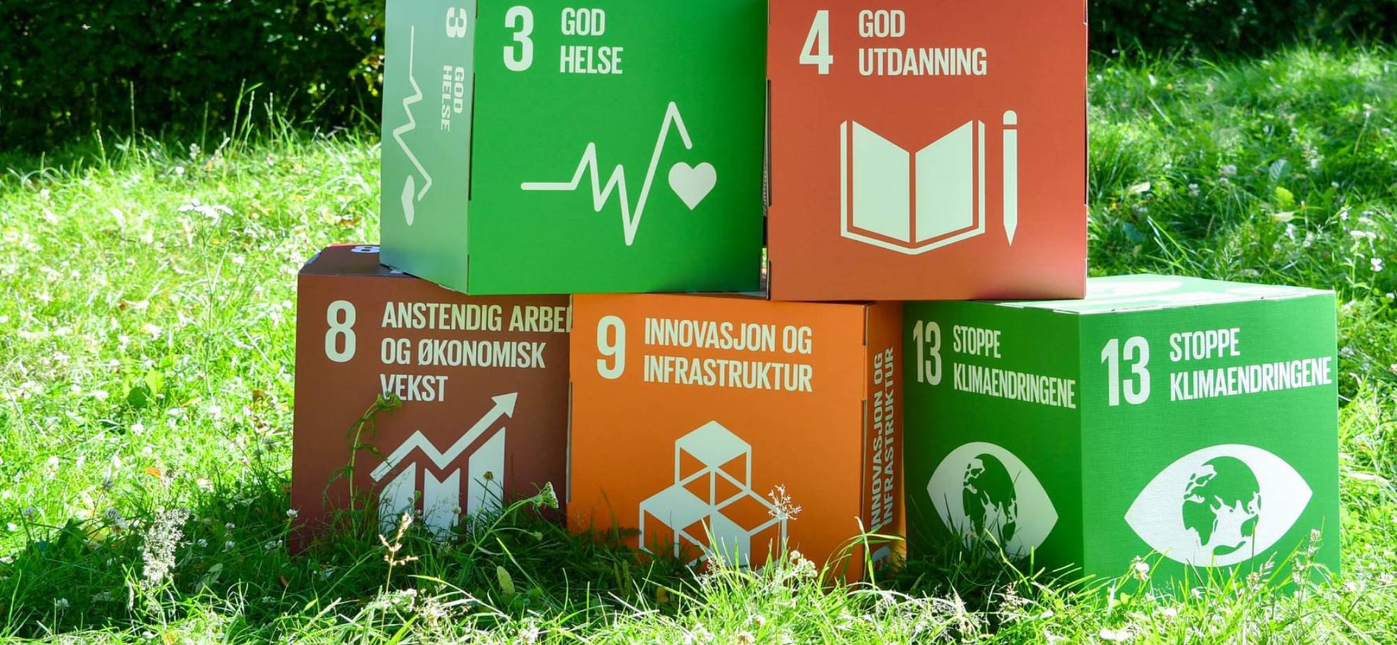 Colourful bricks with the UN's Sustainable Development Goals: health, education, work, innovation and climate stand on a lawn.