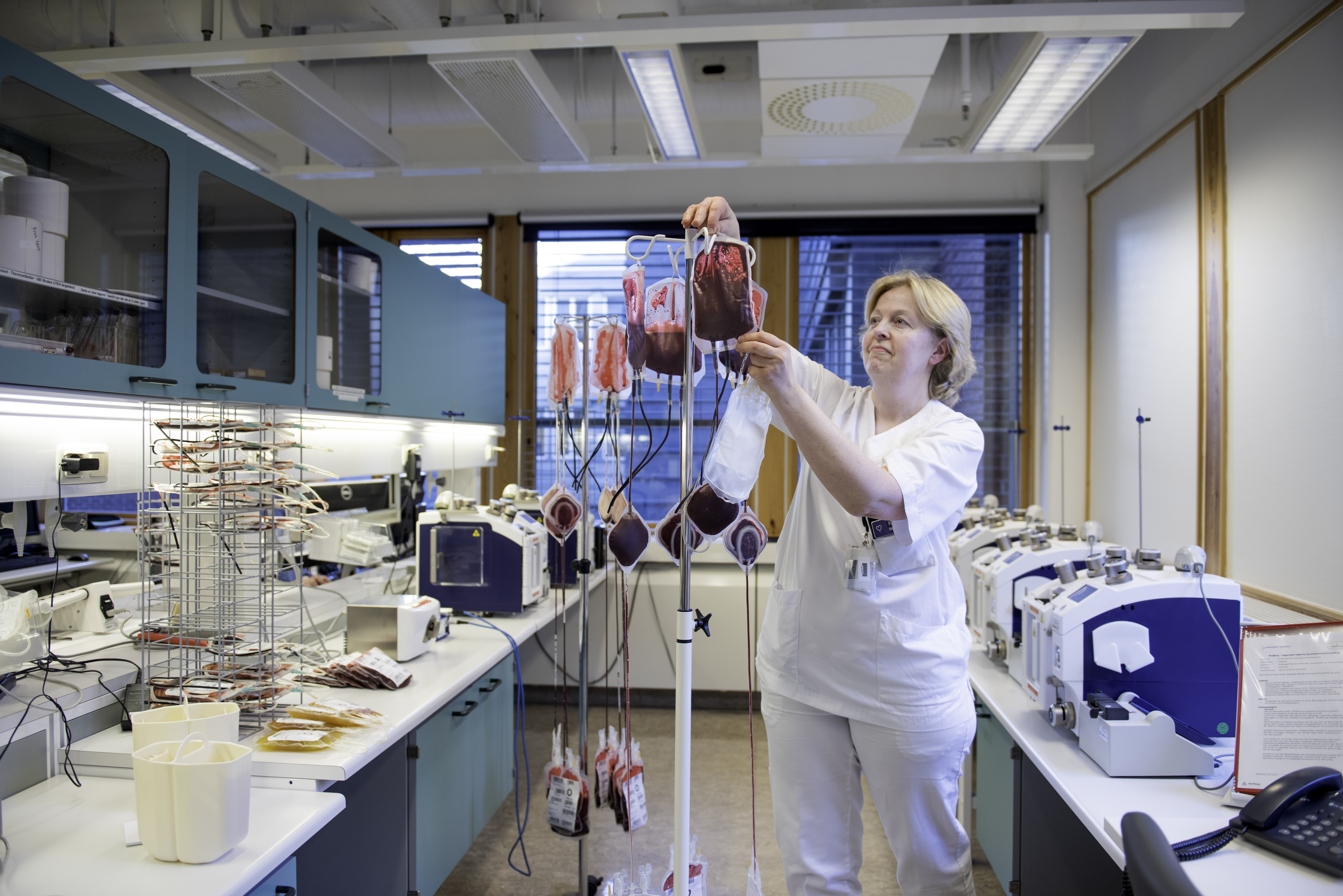 Blodbank Sykehuset i Vestfold, foto: Luca Kleve-Ruud